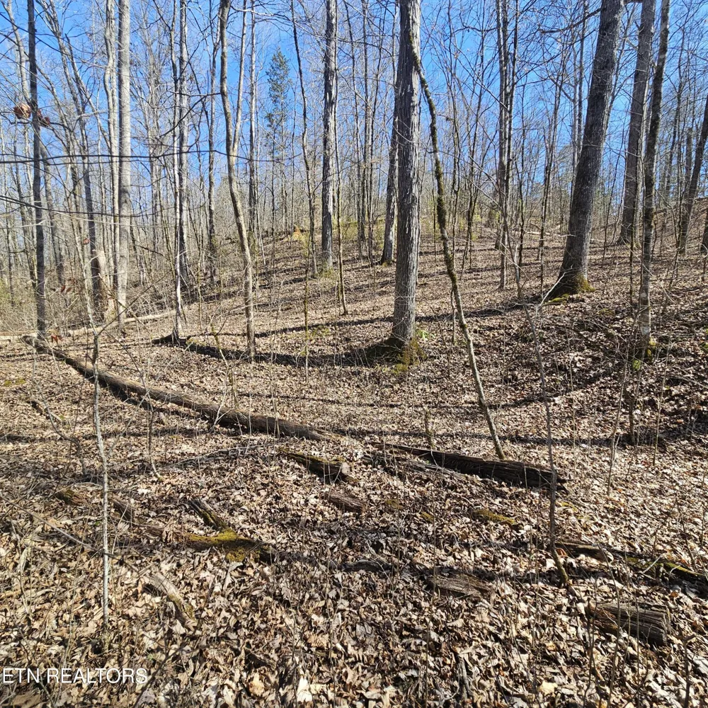0 Lick Creek Rd Tellico Plains, TN 37385