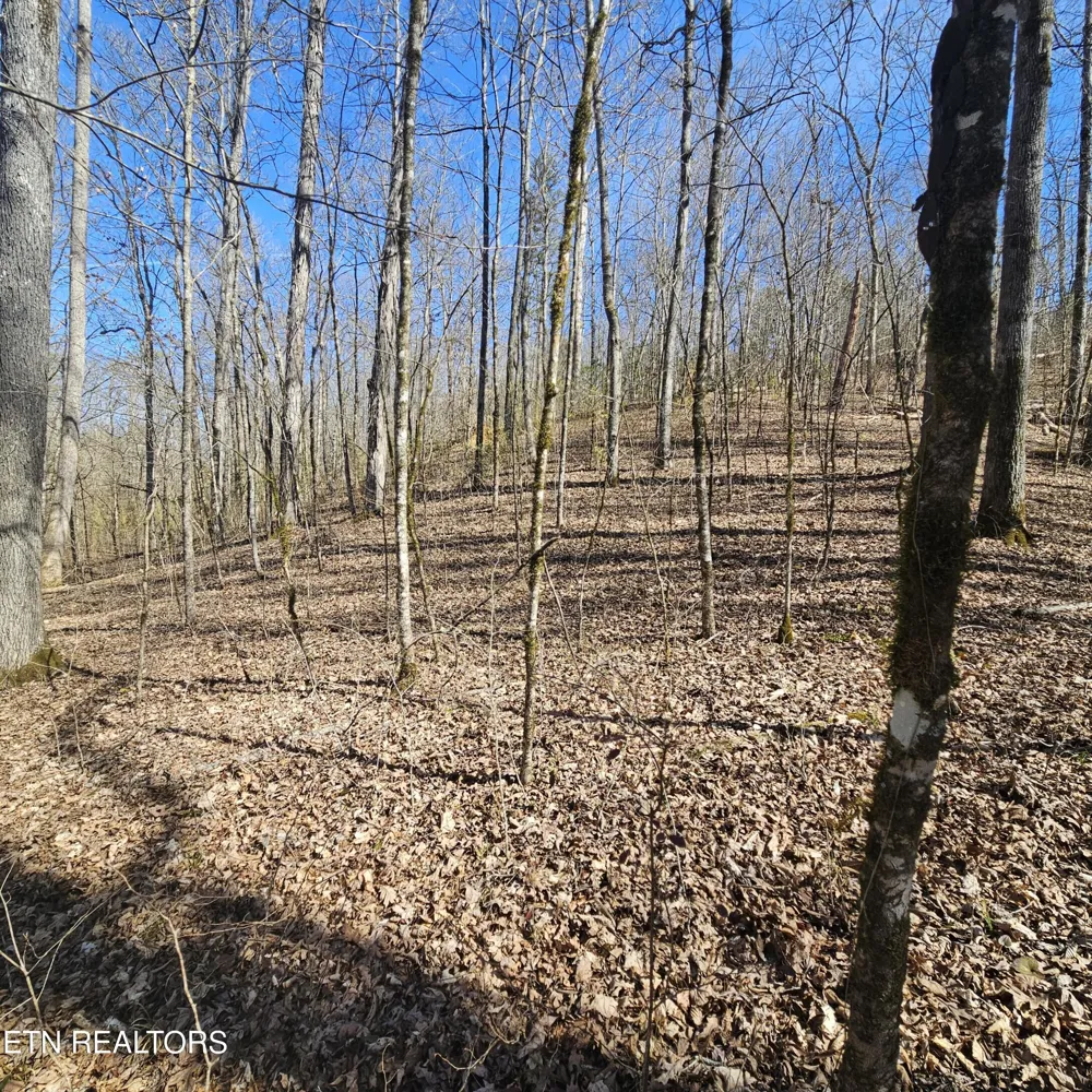 0 Lick Creek Rd Tellico Plains, TN 37385