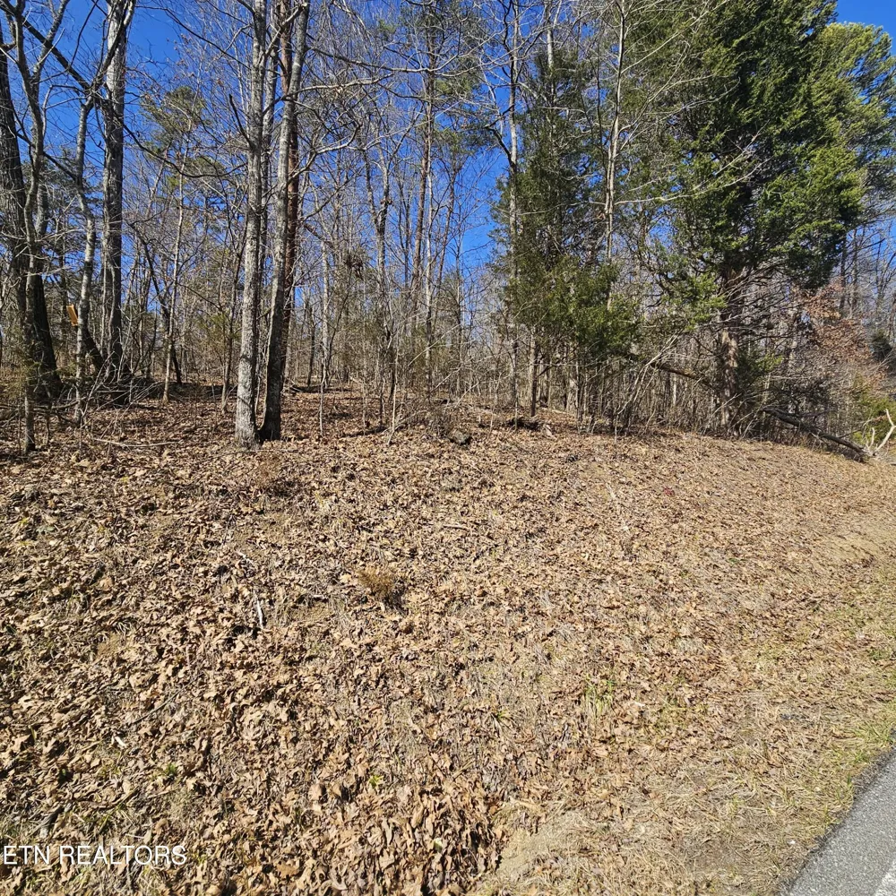 0 Lick Creek Rd Tellico Plains, TN 37385