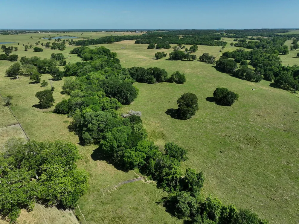 7 Cr 305 Road Navasota, TX 77868