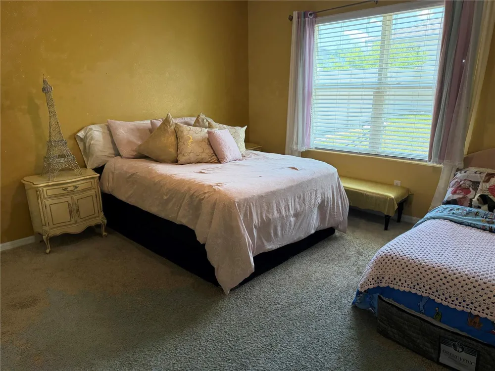 6524 CORAL BERRY DRIVE Mount Dora, FL 32757