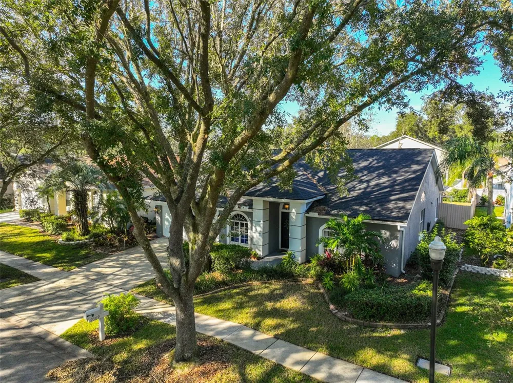 9309 HAMPSHIRE PARK DRIVE Tampa, FL 33647