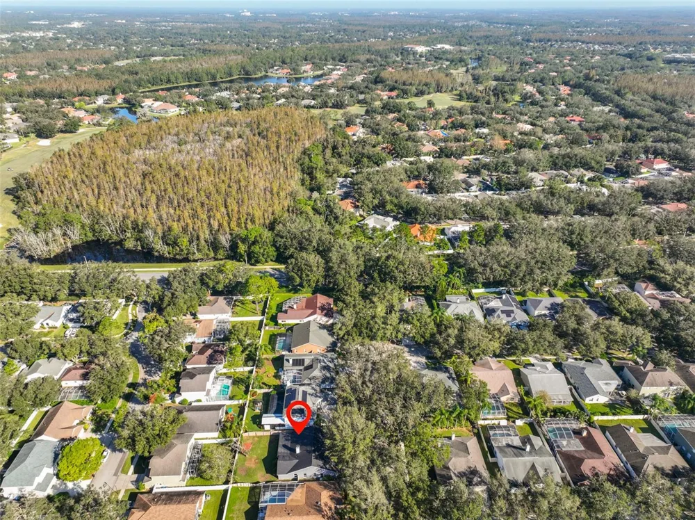 9309 HAMPSHIRE PARK DRIVE Tampa, FL 33647