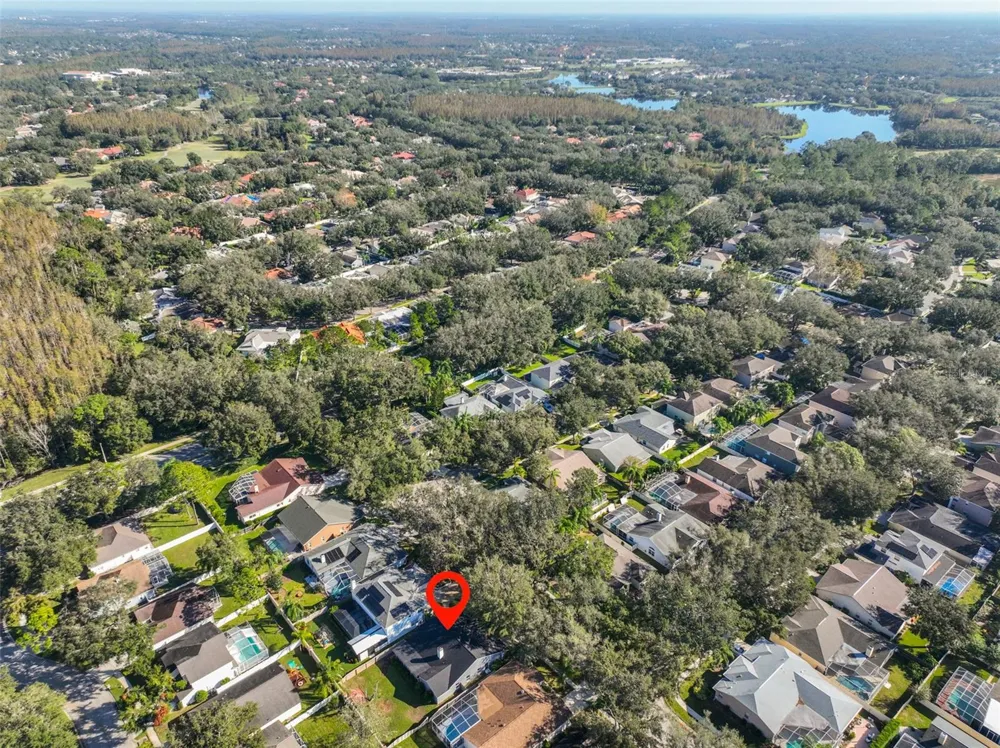 9309 HAMPSHIRE PARK DRIVE Tampa, FL 33647