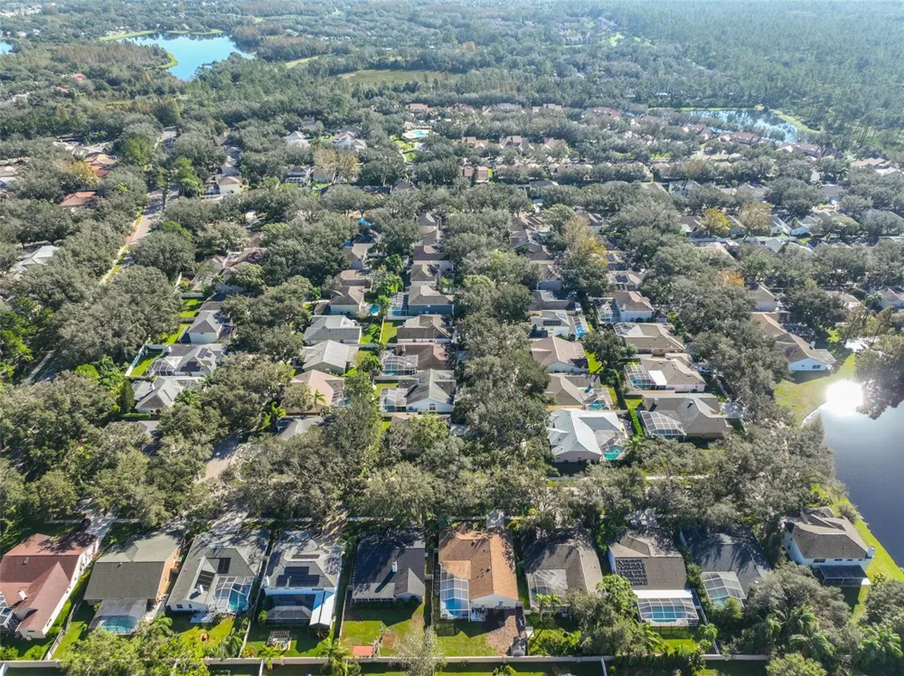 9309 HAMPSHIRE PARK DRIVE Tampa, FL 33647