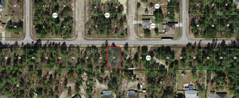 3248 W EUNICE DRIVE Citrus Springs, FL 34433