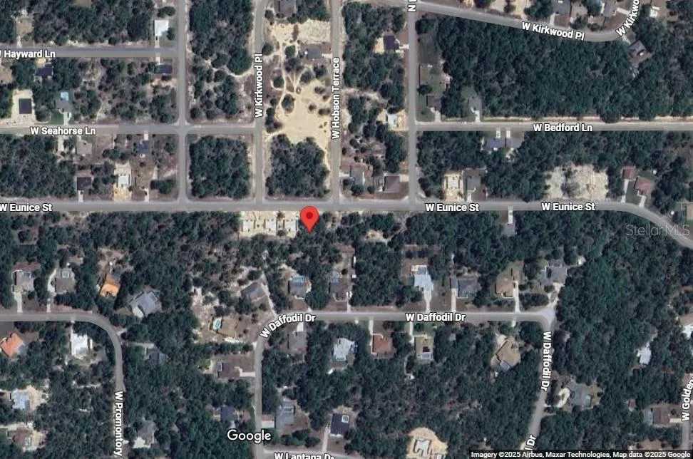 3248 W EUNICE DRIVE Citrus Springs, FL 34433