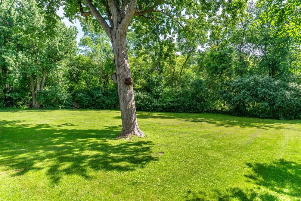 524 Guttenberg Heights Fergus Falls, MN 56537