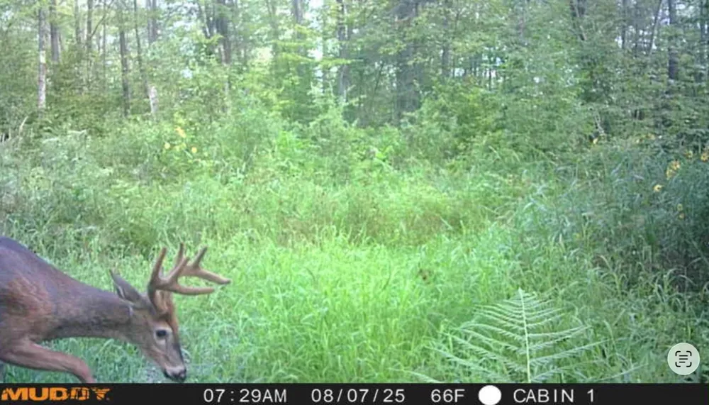 TBD State Highway 27 Sturgeon Lake, MN 55783