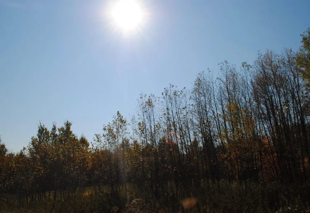 TBD State Highway 27 Sturgeon Lake, MN 55783