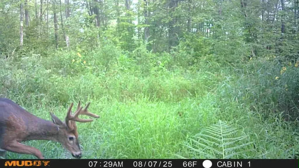 TBD State Highway 27 Sturgeon Lake, MN 55783