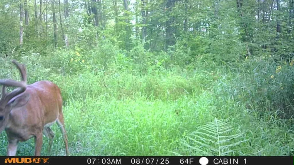 TBD State Highway 27 Sturgeon Lake, MN 55783