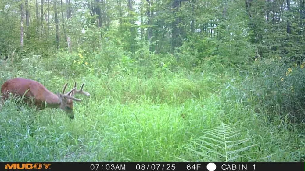 TBD State Highway 27 Sturgeon Lake, MN 55783