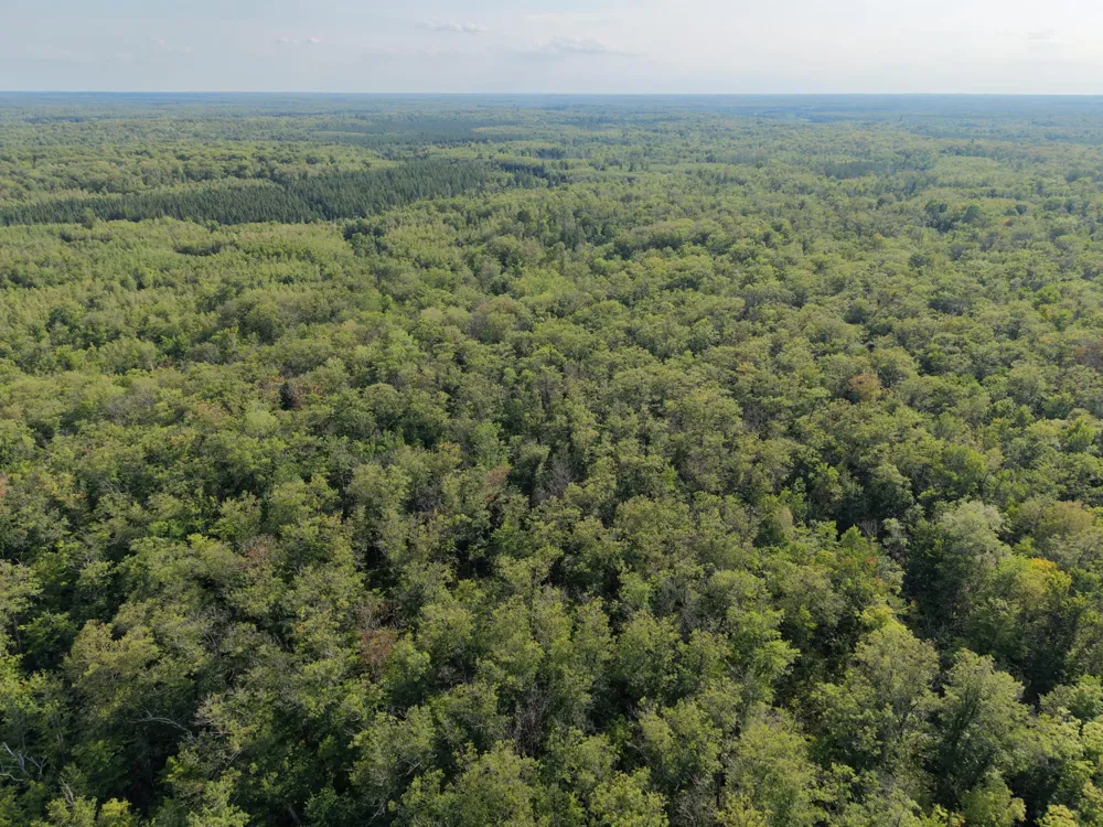 TBD State Highway 27 Sturgeon Lake, MN 55783