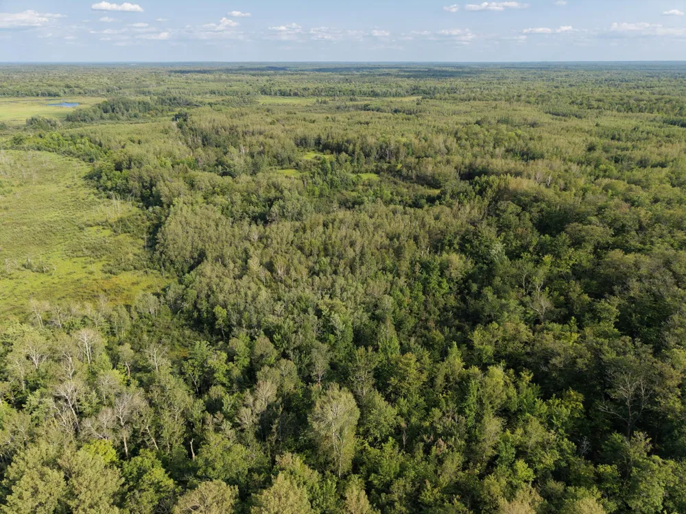 TBD State Highway 27 Sturgeon Lake, MN 55783