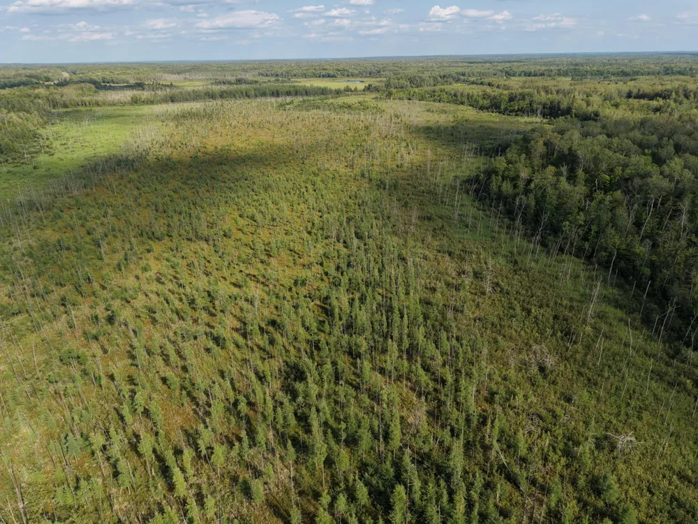 TBD State Highway 27 Sturgeon Lake, MN 55783
