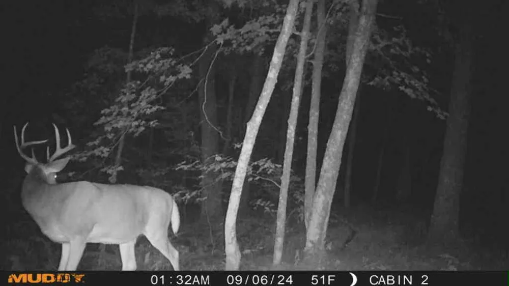 TBD State Highway 27 Sturgeon Lake, MN 55783