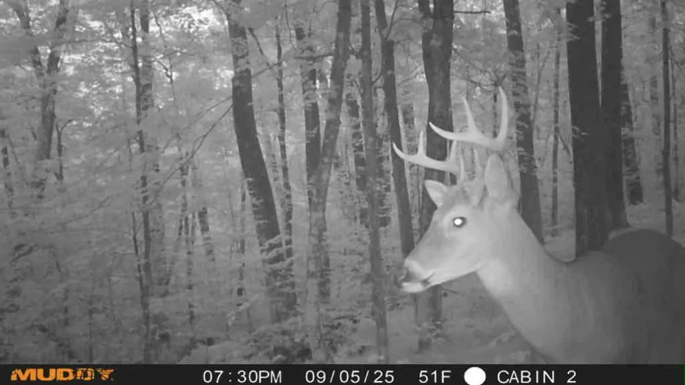 TBD State Highway 27 Sturgeon Lake, MN 55783
