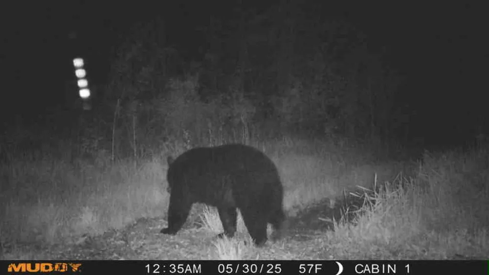 TBD State Highway 27 Sturgeon Lake, MN 55783