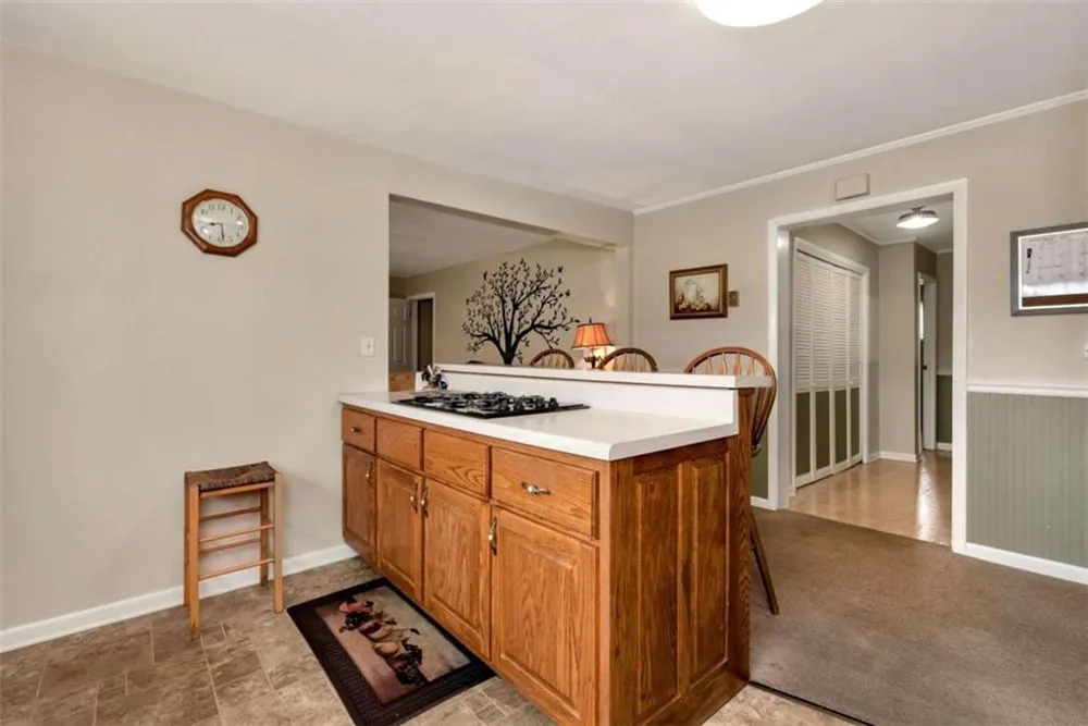 4041 Ada Street Blue Ridge, GA 30513