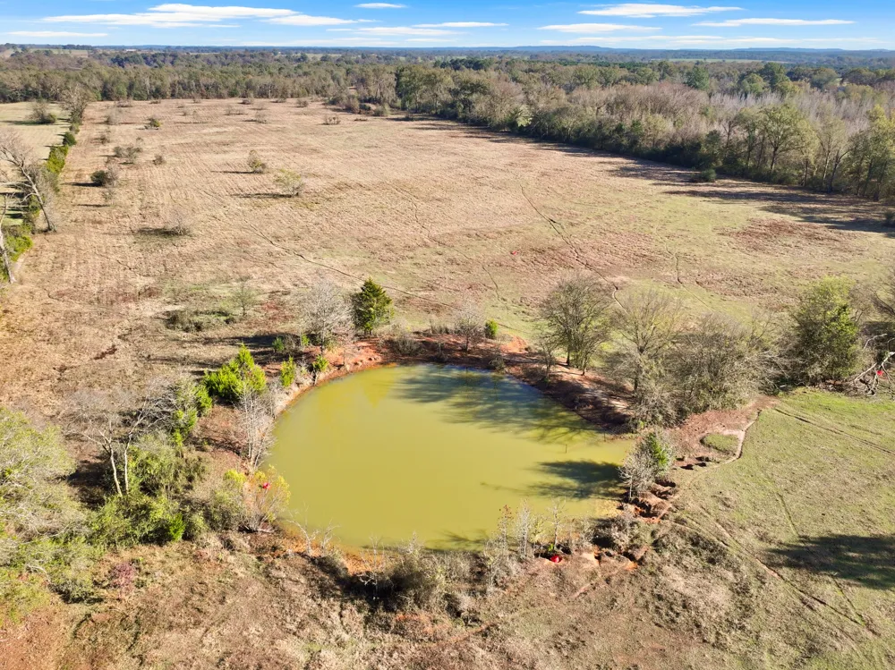 785 CR 4840 ALL Mt Pleasant, TX 75455