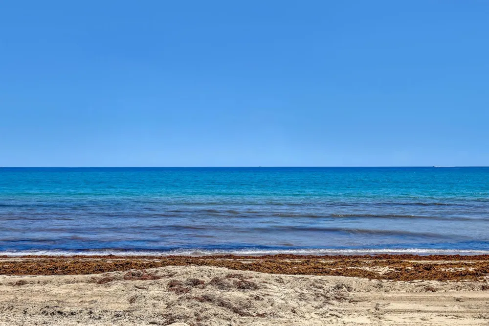 3221 S OCEAN BOULEVARD #302 Highland Beach, FL 33487