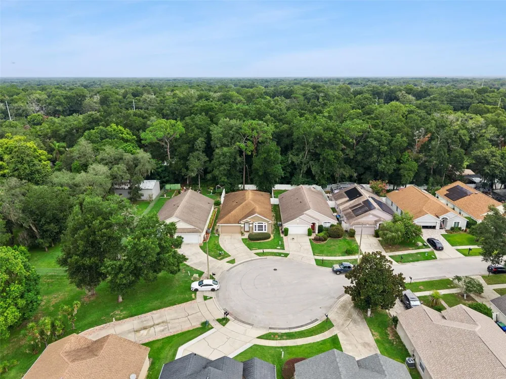 2019 GOLDEN IVY WAY Apopka, FL 32703