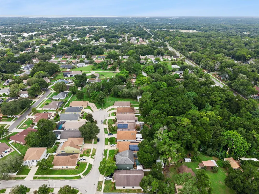 2019 GOLDEN IVY WAY Apopka, FL 32703