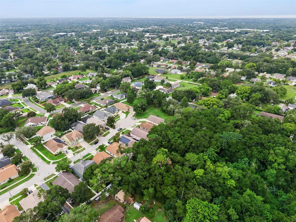2019 GOLDEN IVY WAY Apopka, FL 32703