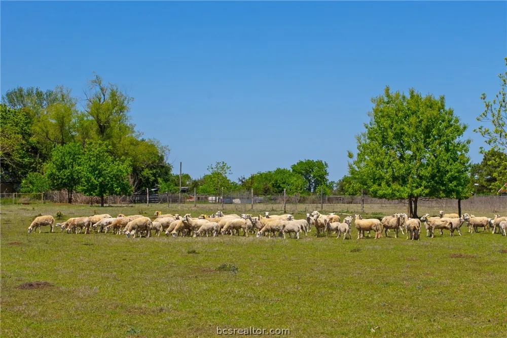 305 County Road 108 Caldwell, TX 77836