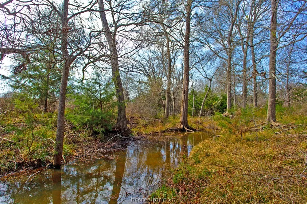305 County Road 108 Caldwell, TX 77836