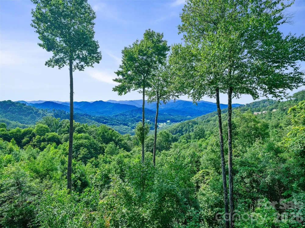 530 Andrew Banks Road #B2 Burnsville, NC 28714