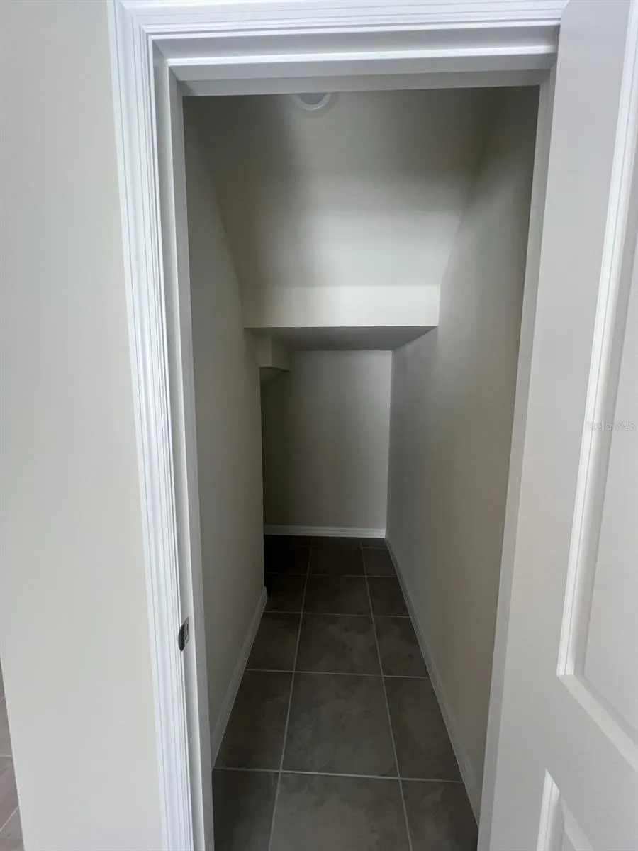3355 VINE LEAF STREET Apopka, FL 32712