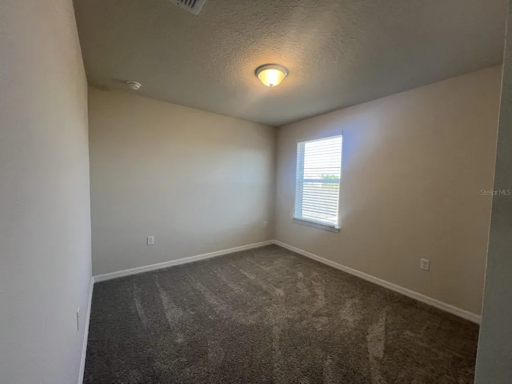 3355 VINE LEAF STREET Apopka, FL 32712
