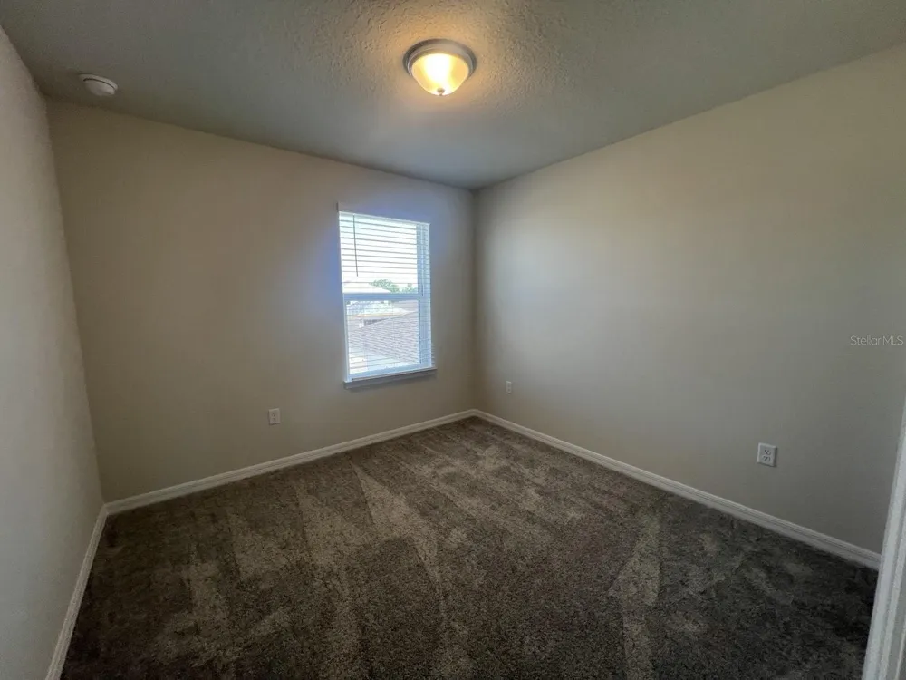 3355 VINE LEAF STREET Apopka, FL 32712