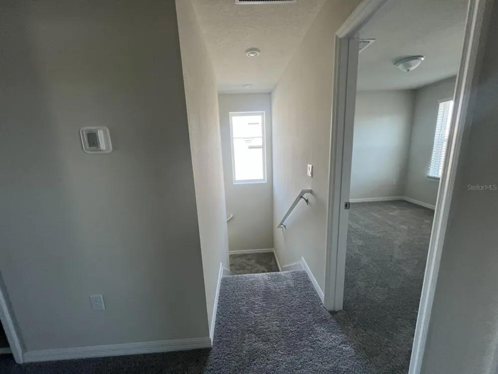 3355 VINE LEAF STREET Apopka, FL 32712