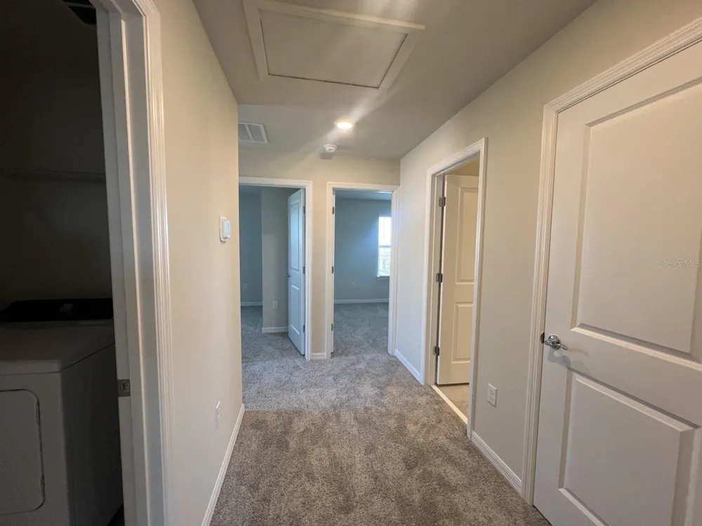3355 VINE LEAF STREET Apopka, FL 32712