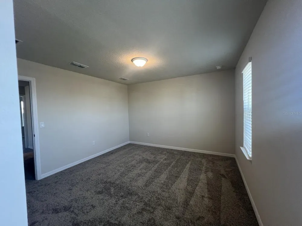 3355 VINE LEAF STREET Apopka, FL 32712