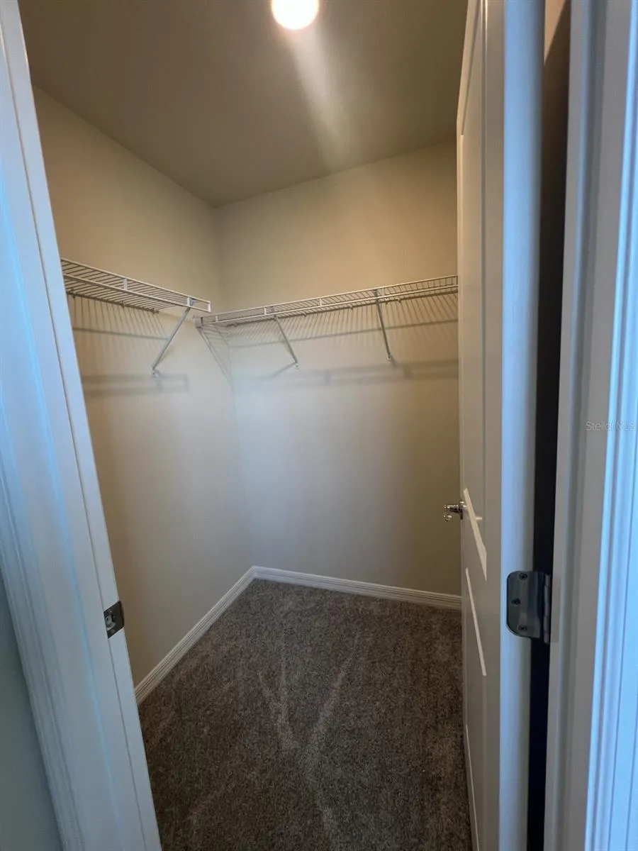 3355 VINE LEAF STREET Apopka, FL 32712
