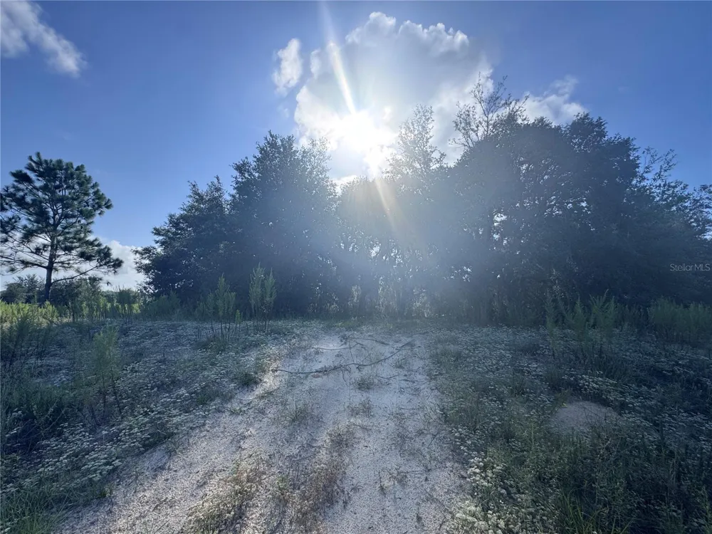 2251 E FOUR SEASONS LANE Inverness, FL 34453