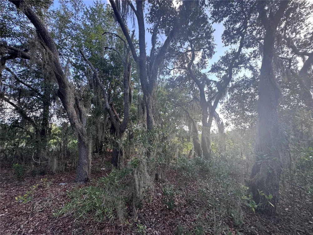 2251 E FOUR SEASONS LANE Inverness, FL 34453