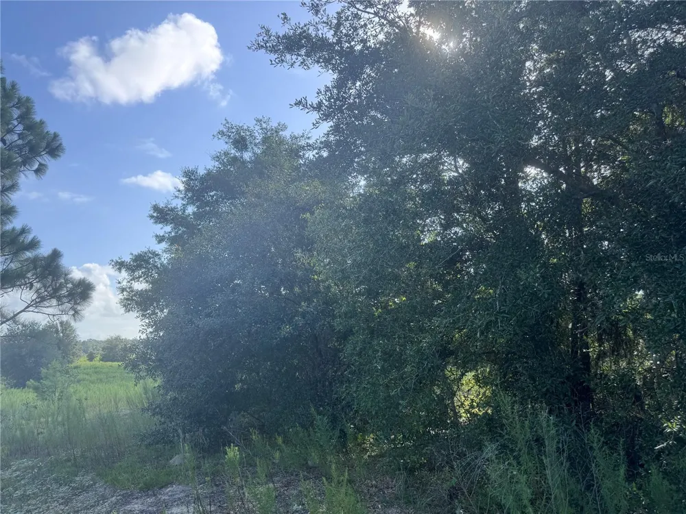 2251 E FOUR SEASONS LANE Inverness, FL 34453