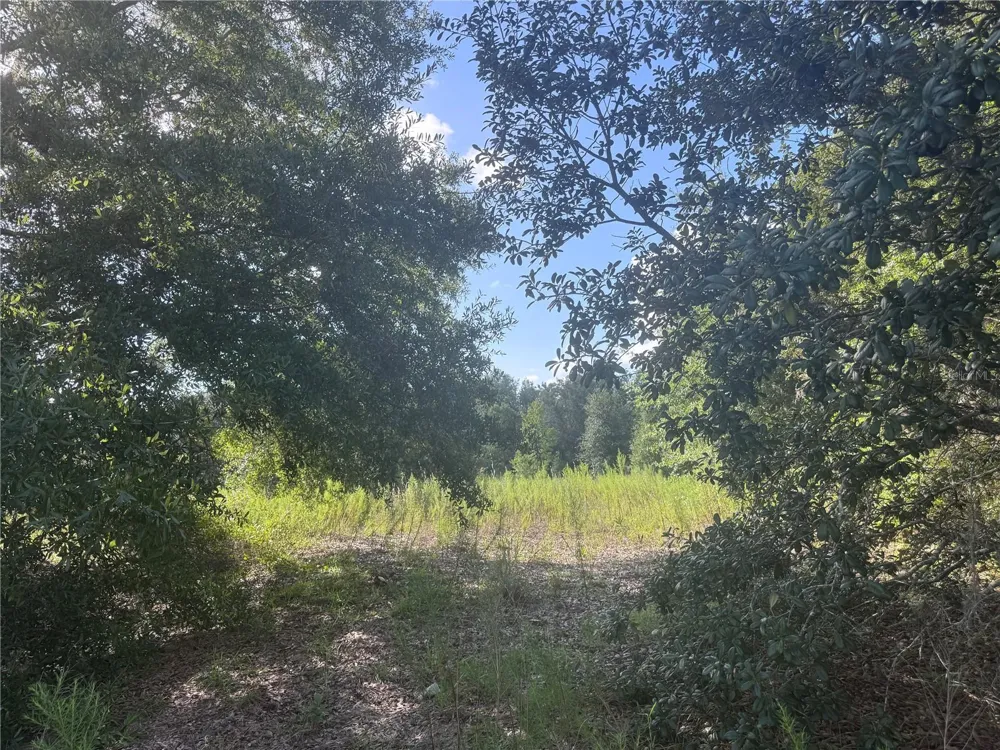 2251 E FOUR SEASONS LANE Inverness, FL 34453