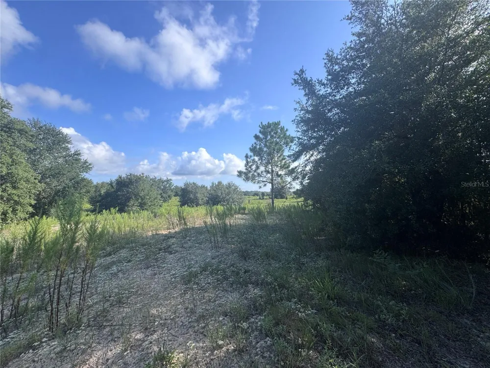 2251 E FOUR SEASONS LANE Inverness, FL 34453