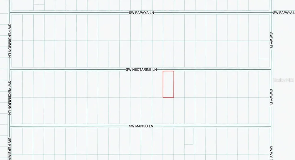 SW NECTARINE LANE Dunnellon, FL 34431