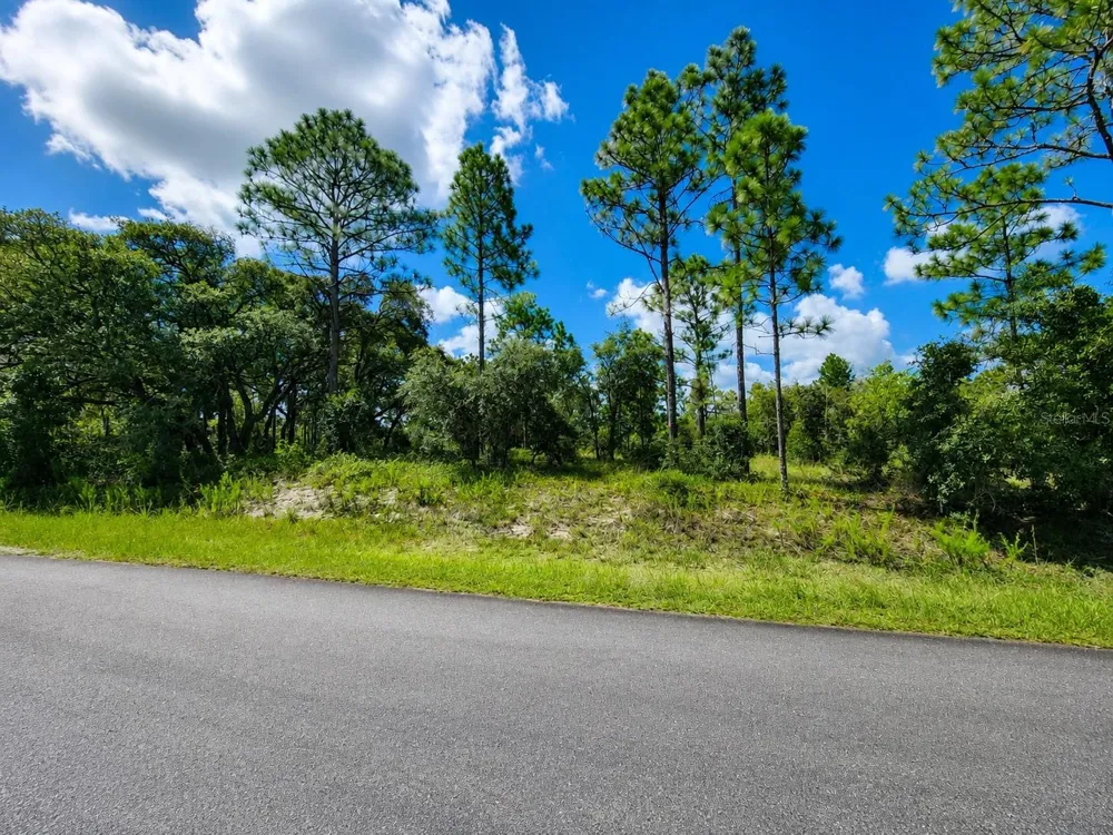SW NECTARINE LANE Dunnellon, FL 34431