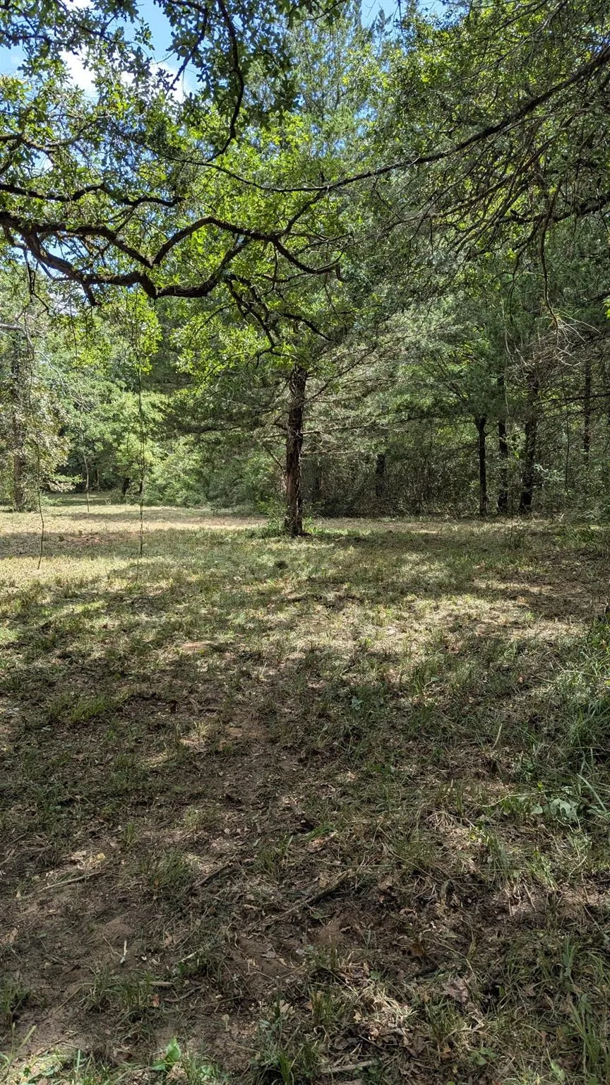 5425 County Road 114 Centerville, TX 75833