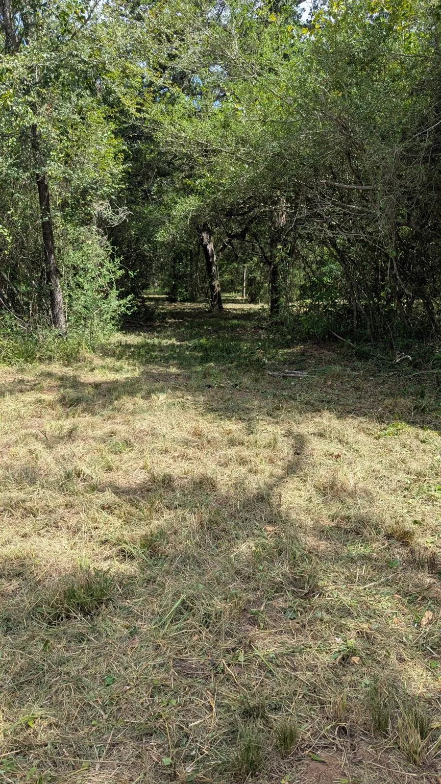 5425 County Road 114 Centerville, TX 75833