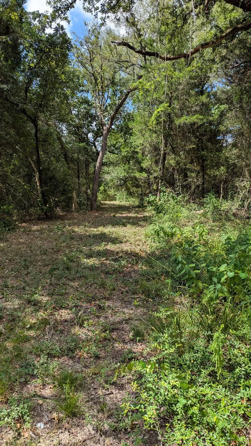 5425 County Road 114 Centerville, TX 75833
