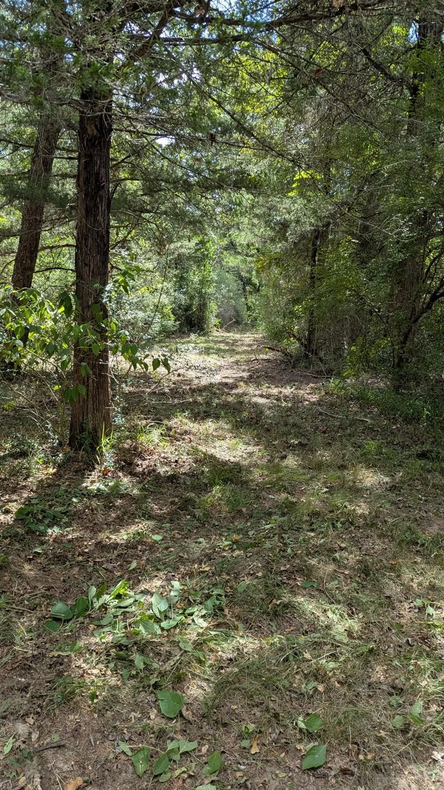 5425 County Road 114 Centerville, TX 75833
